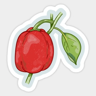 Red capsicum Pepper Vector Sticker